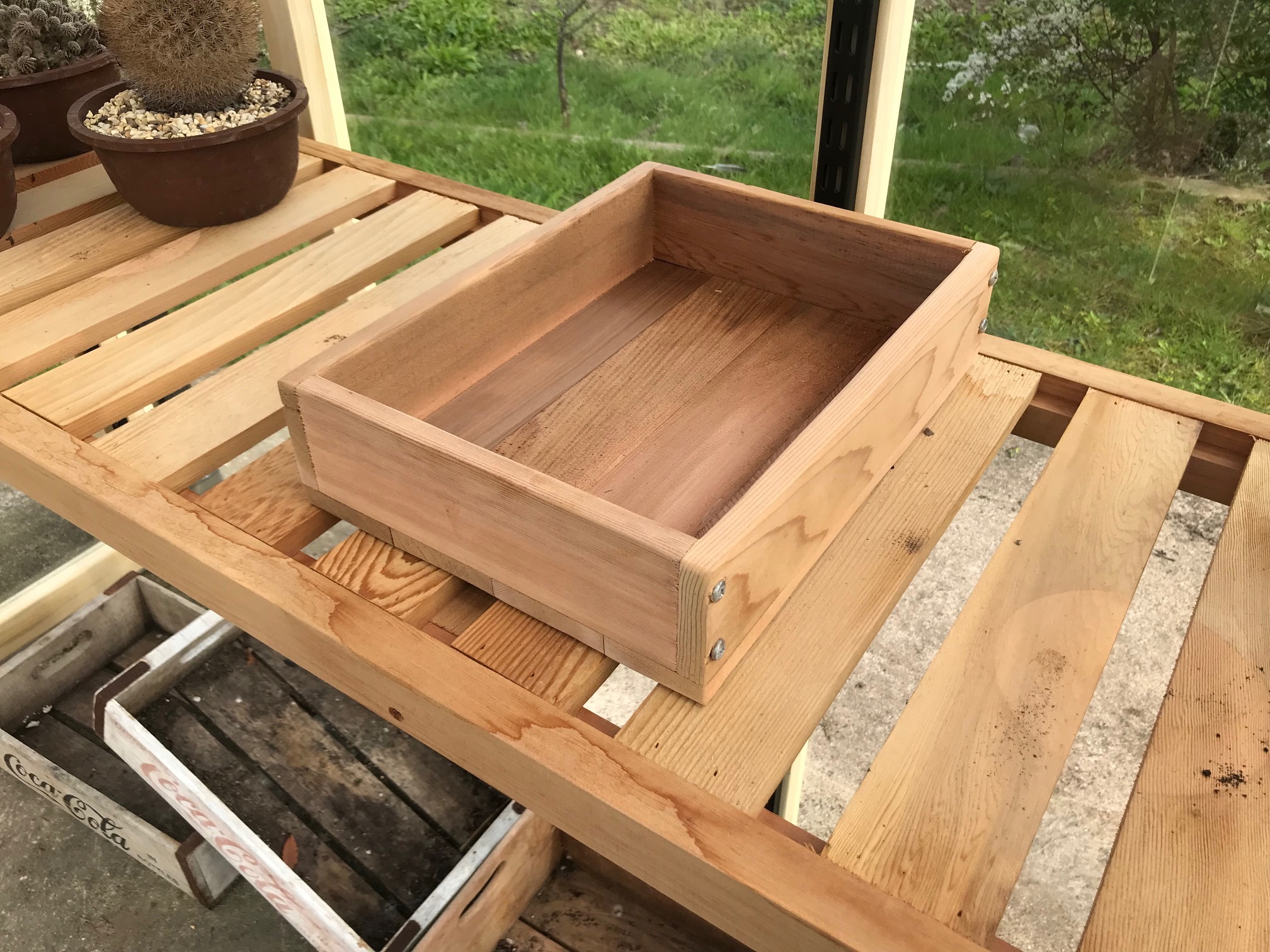 Seed Tray Single 00007