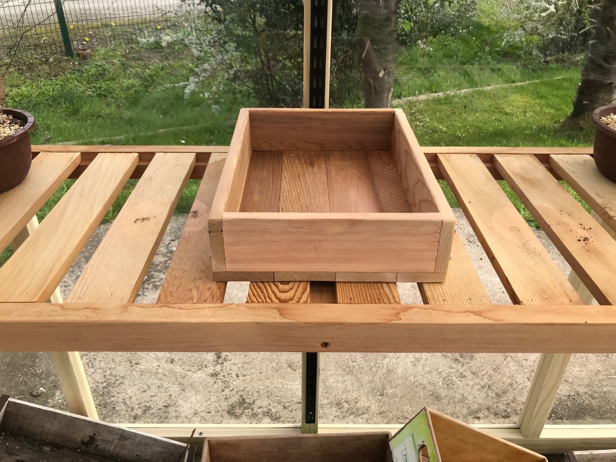Seed Tray Single