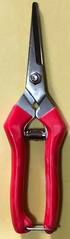 Handy Snips for Root Pruning and Herb Harvesting