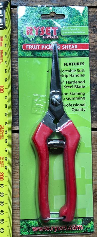 Handy Snips for Root Pruning and Herb Harvesting