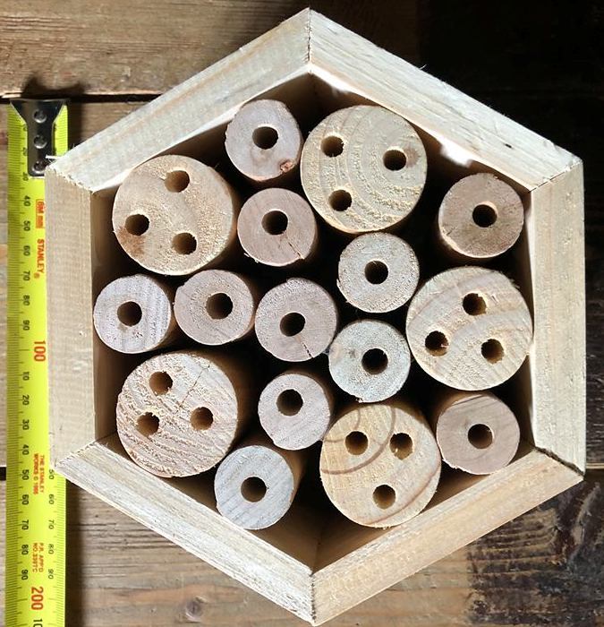 Insect Hotel - Bamboo or Wood 00005