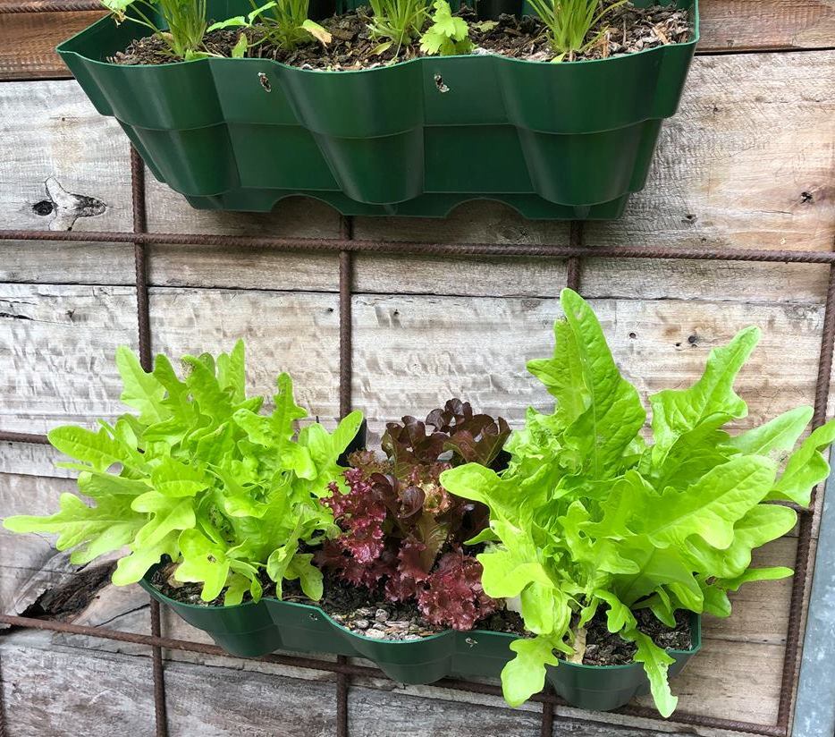 Vertical Wall Garden Planter