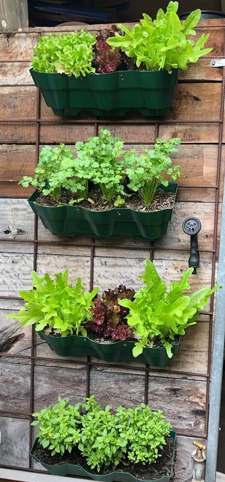 Vertical Wall Garden Planter 00004