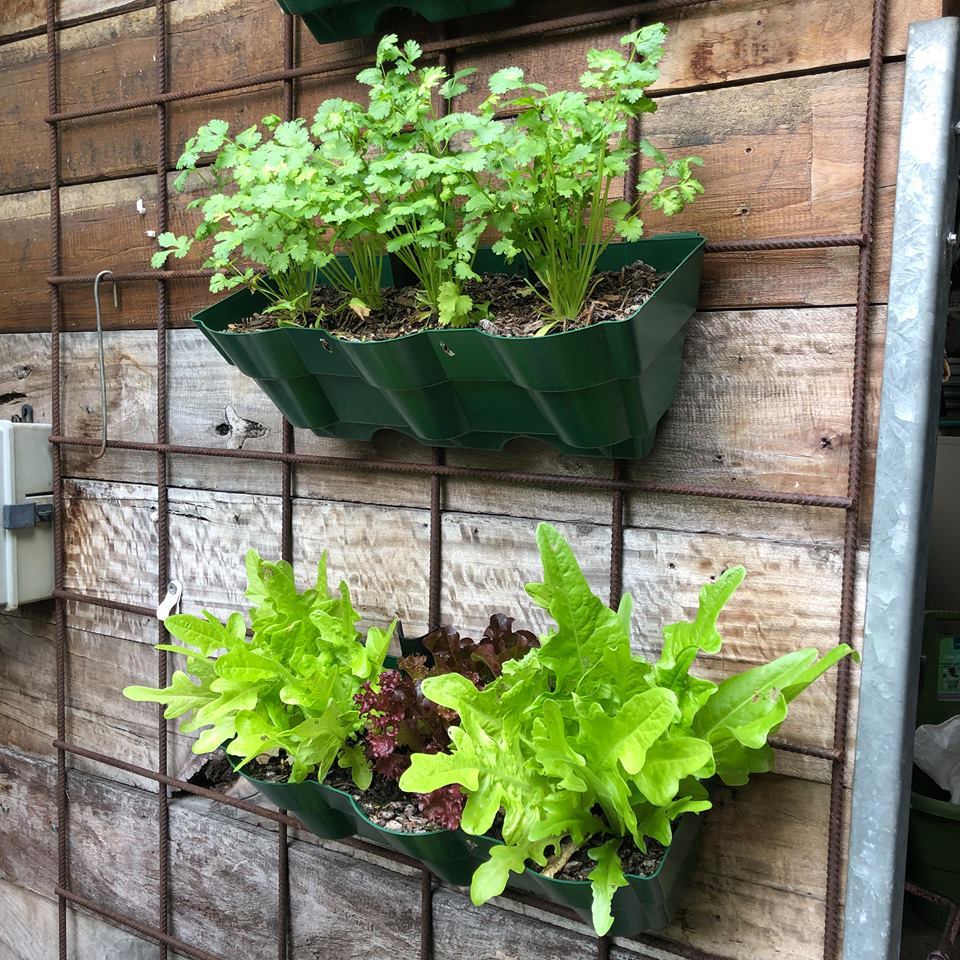 Vertical Wall Garden Planter