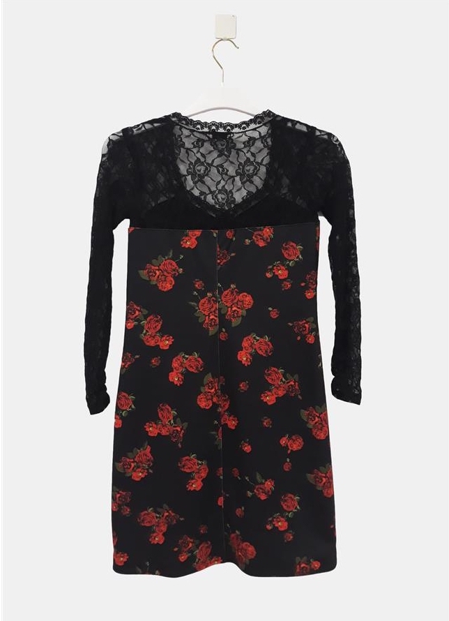 Paul Brial: Baby Roses Lace Decolletage Fitted Dress