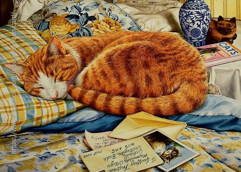 Дню герое, открытка спящий кот