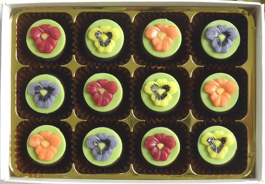 Spring Pansies 00059