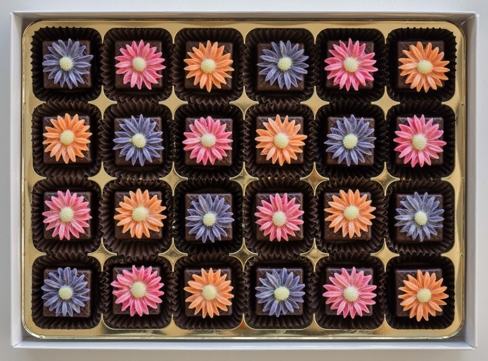 24 Bright Daisies
