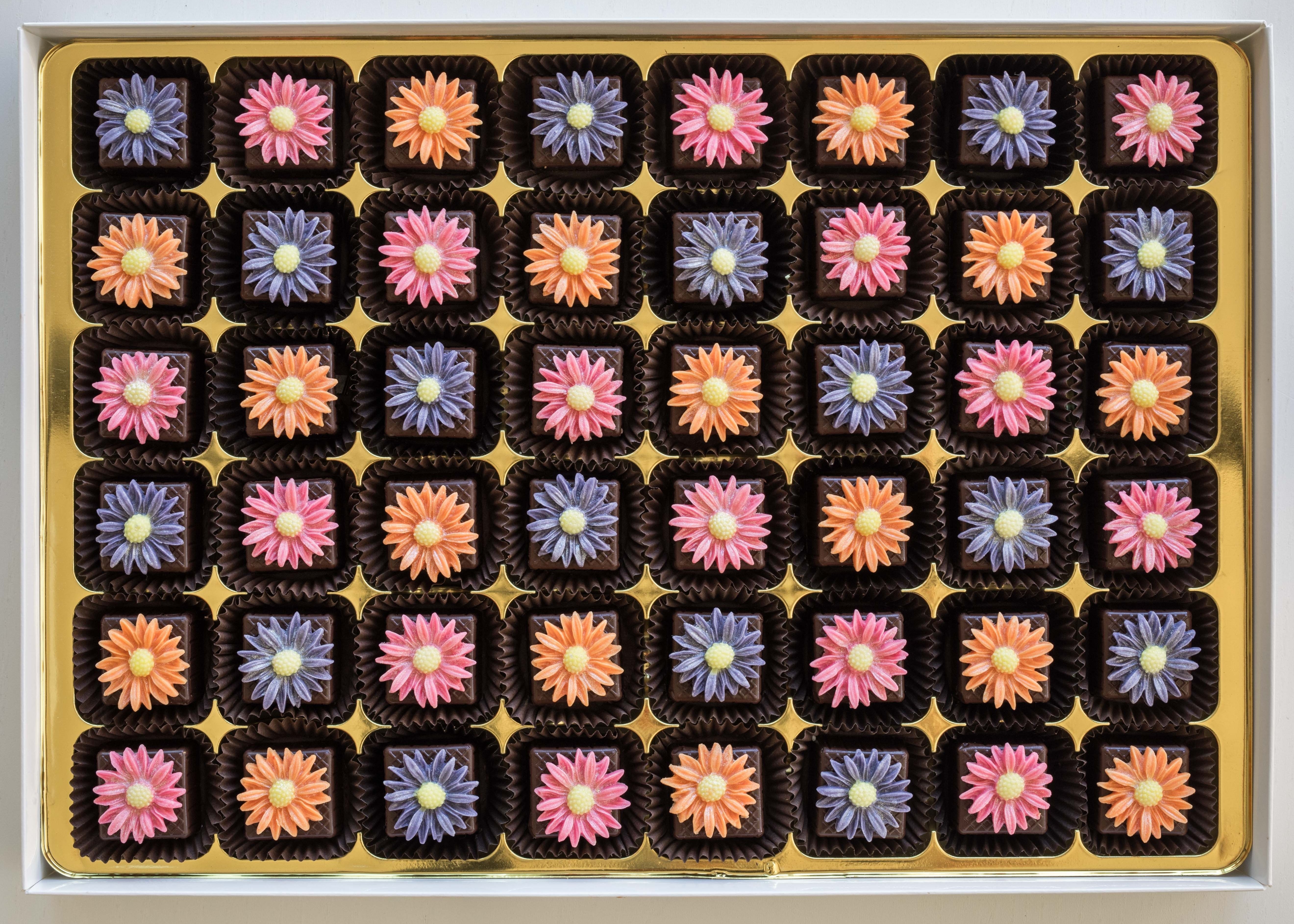 48 Bright Daisies