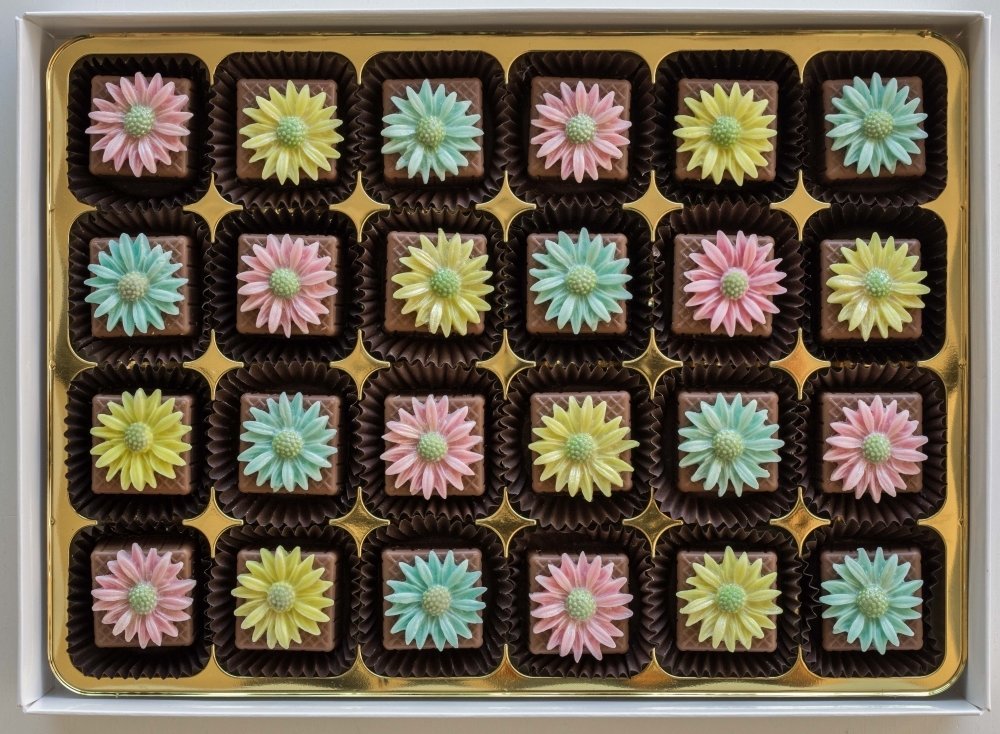 24 Pastel Daisies