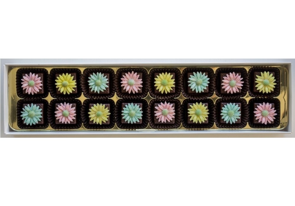 16 Pastel Daisies