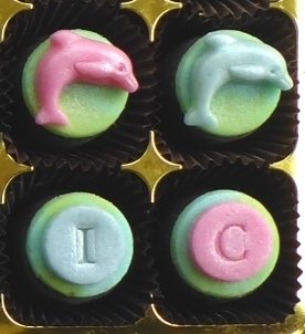 YOU'RE FINTASTIC - dolphins on chocs filled with marzipan or flavoured fondant
