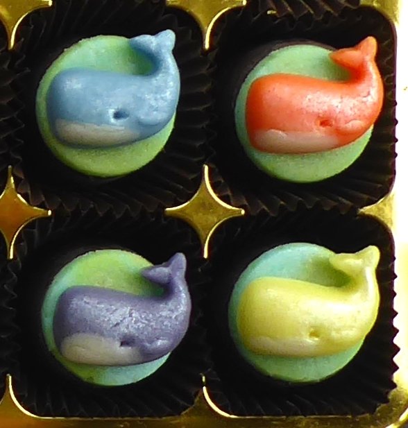 Pretty little rainbow whales!