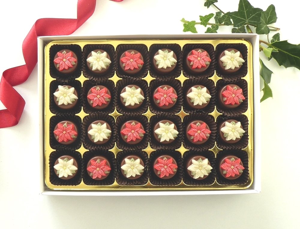 24 Poinsettas