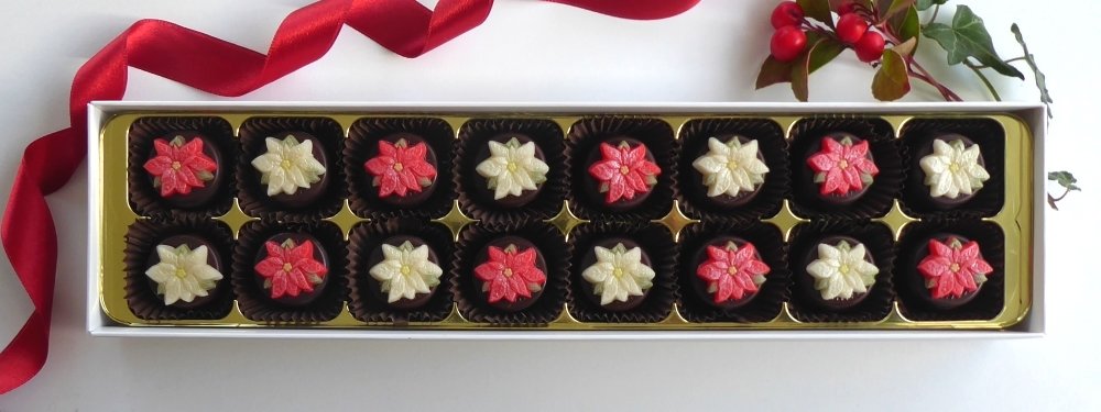 16 Poinsettas