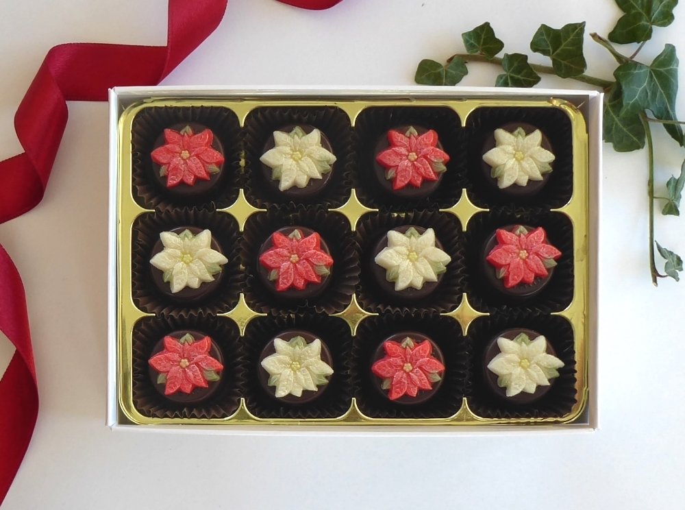 Poinsettias 00034