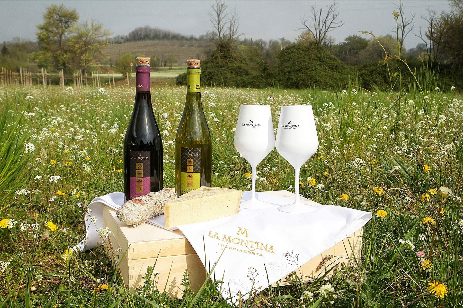 Confezione PicNic