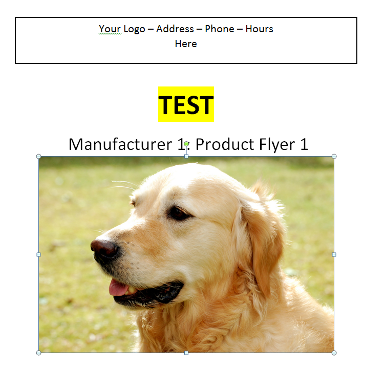 Manufacturer 1 - Product Flyer 1 00000
