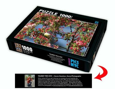 White-eyed Vireo in Central Park NYC Puzzle White-eyed Vireo in Central Park NYC Puzzle