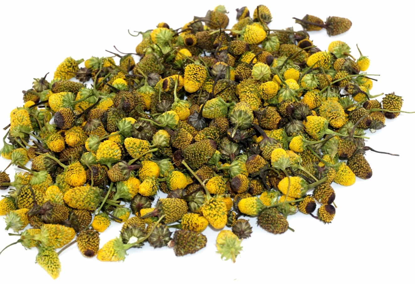 Dried Buzz Button Flowers. ~150-200 flowers. 00024