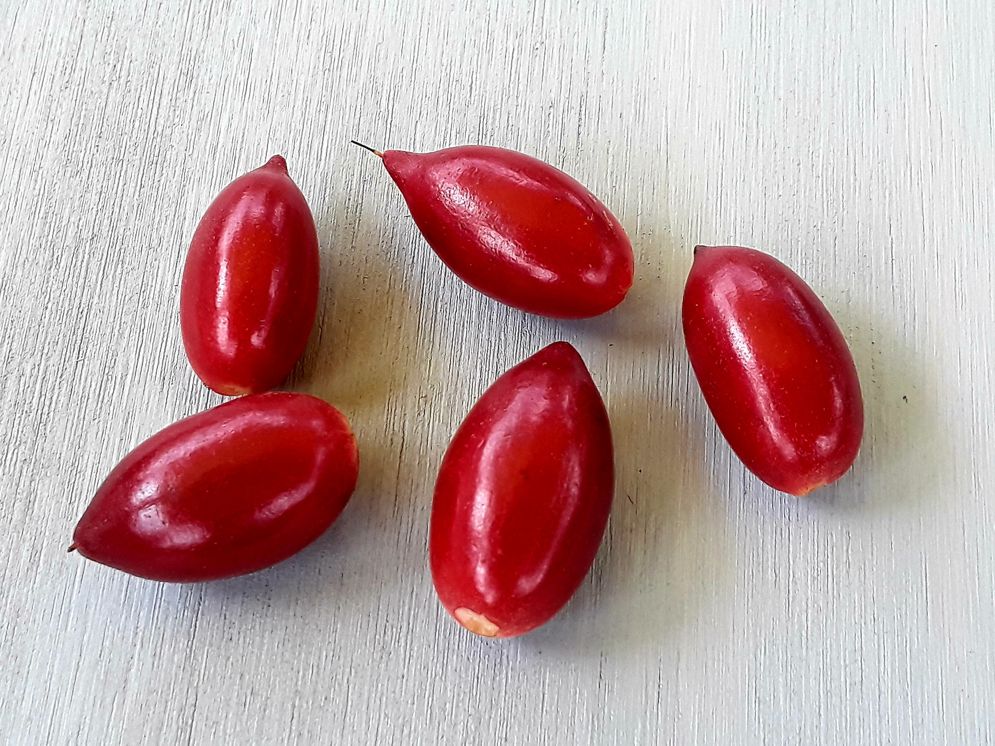Fresh Miracle berries (Synsepalum dulcificum) Taste altering miracle fruit. 30 berries. 00015