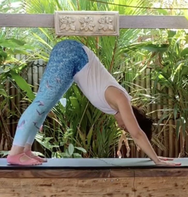 7 Day Flow | Pilates in your Pocket