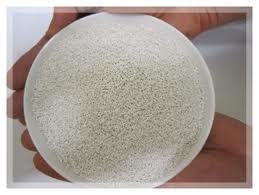 Grass Seed