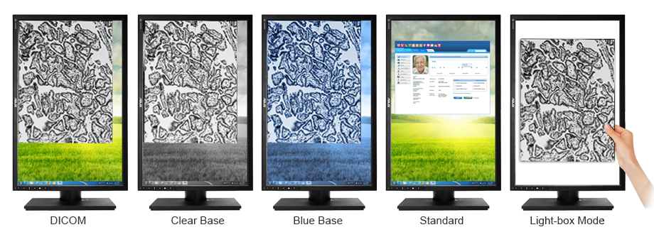 ASUS HA2402, 24"