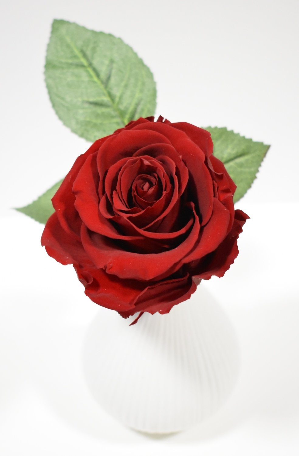 Preserved Red Forever Rose In A Bud Vase Single Rose