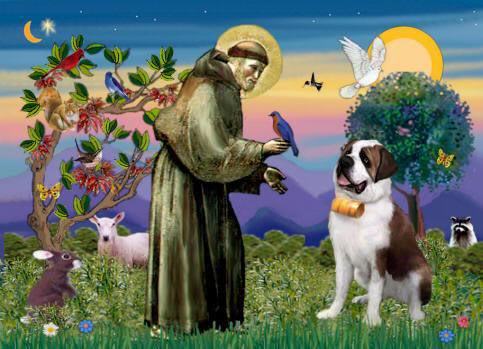 Guided Meditation - Receiving Intuitive Guidance from Sacred Heart of St. Francis GM - 02