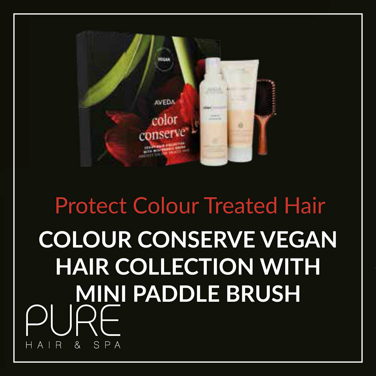 Aveda Colour Conserve Hair Care Gift Set. Aveda Colour Conserve Hair Care Gift Set.