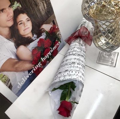 Single Long Stemmed Rose Gift Wrapped