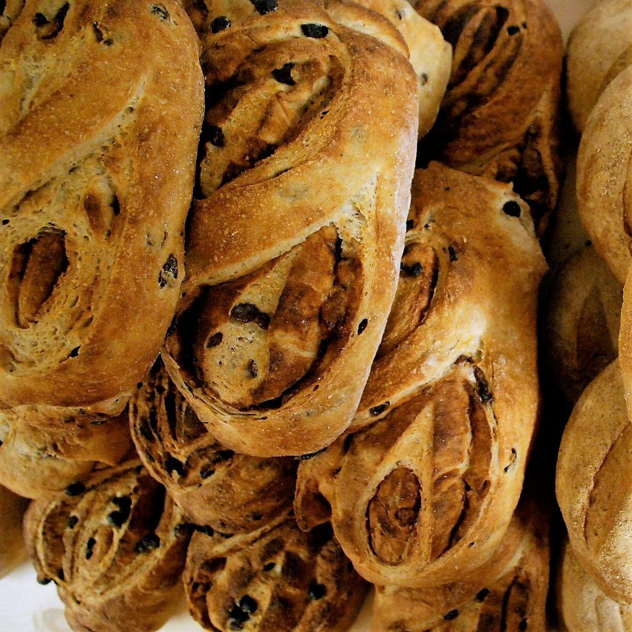 Cinnamon Raisin Swirl Bread 10002