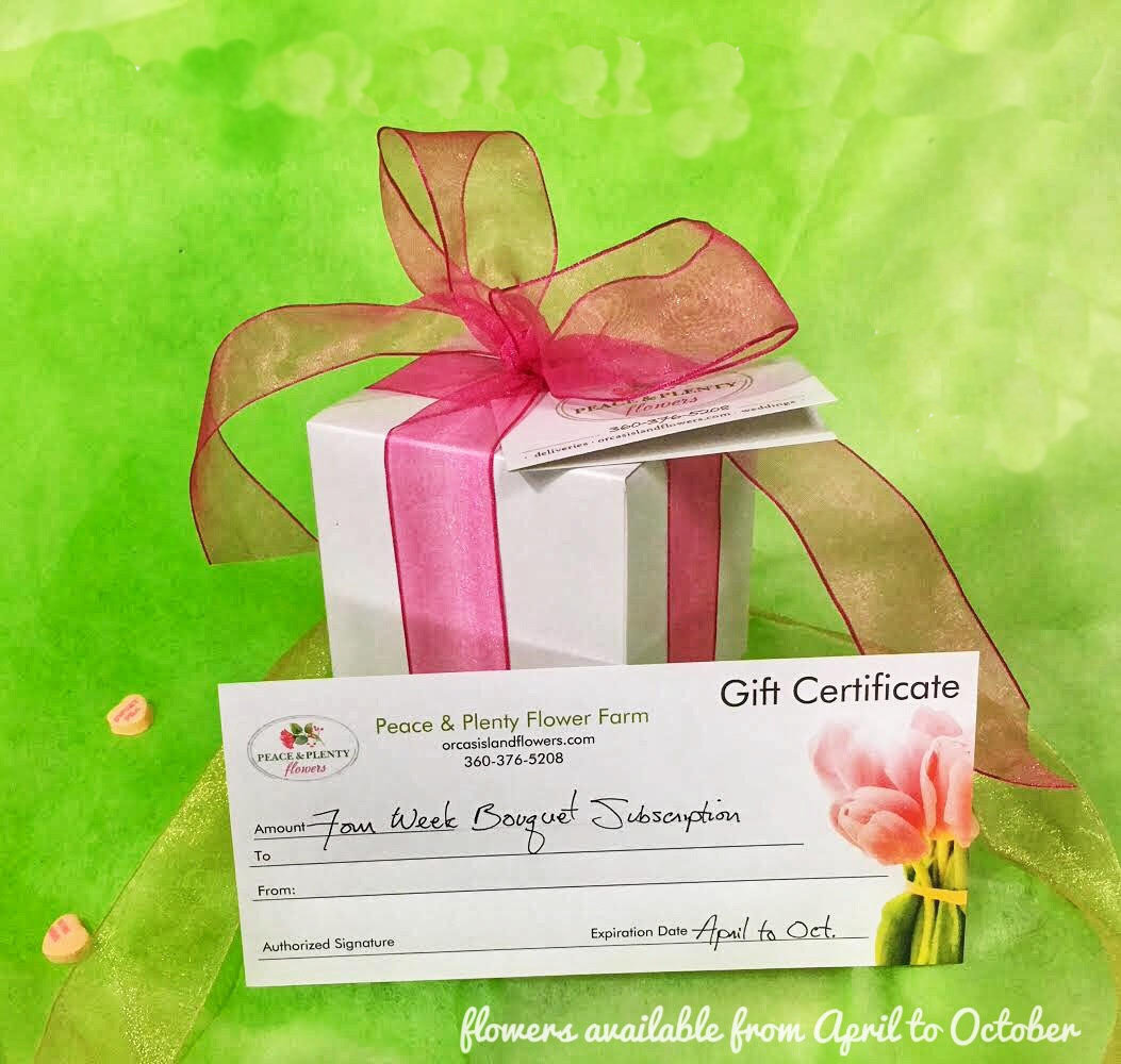 Gift Certificate 00000