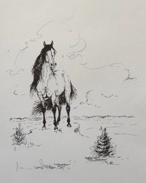 Mesteño (the famous wild band stallion) Signed sketch created by Rowland Cheney Title: The Legacy 00002