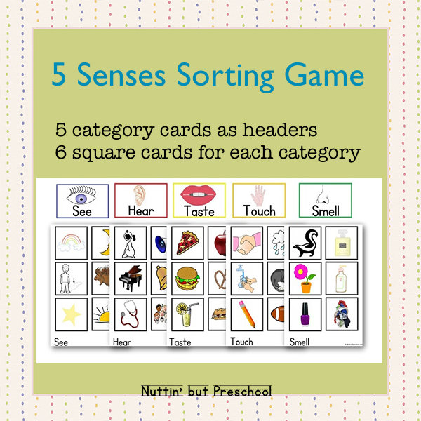5 Senses Sorting Game 0028