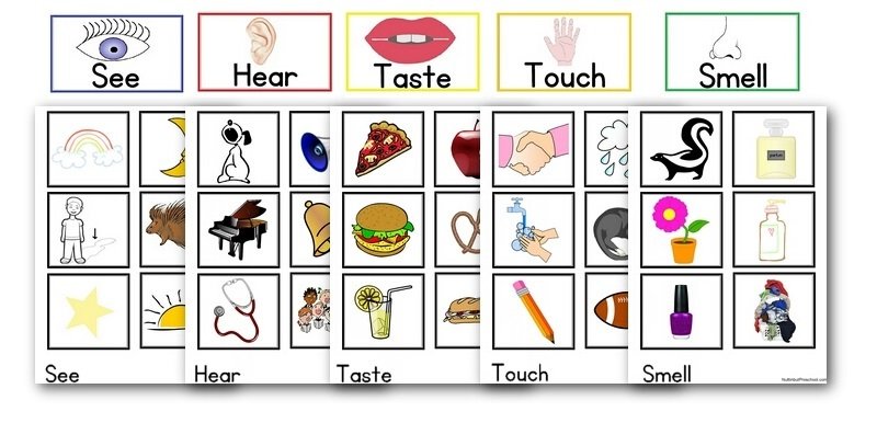 5 Senses Sorting Game