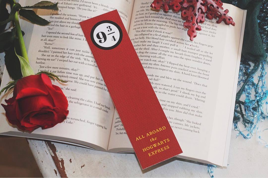 Photo credit: Ashes Books and Bobs (IG - @ashesbooksandbobs)