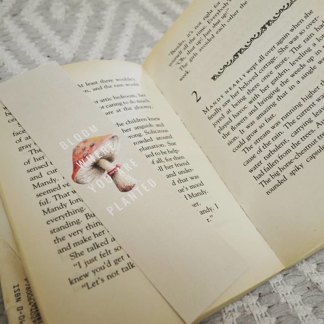 Photo credit: Adelaide Thorne (IG - @adelaidethorne.author)