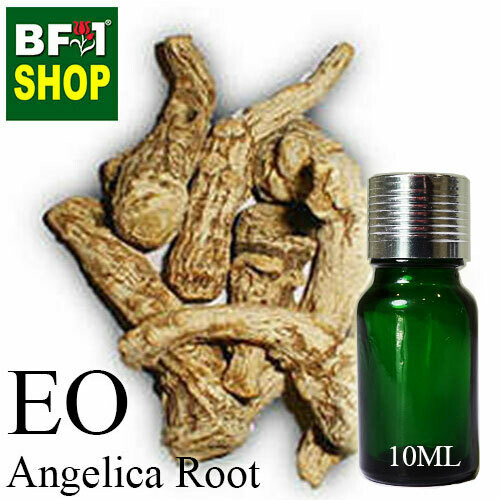 Essential Oil - Angelica Root - 10ml Essential Oil - Angelica Root - 10ml