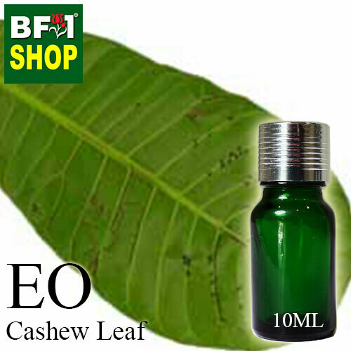 Essential Oil - Cashew Leaf ( Anacardium Occidentale ) - 10ml Essential Oil - Cashew Leaf ( Anacardium Occidentale ) - 10ml