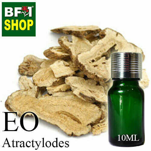 Essential Oil - Atractylodes - 10ml Essential Oil - Atractylodes - 10ml