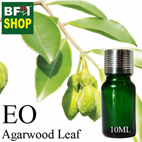 Essential Oil - Agarwood Leaf - 10ml Essential Oil - Agarwood Leaf - 10ml