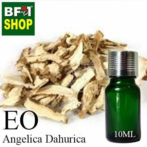Essential Oil - Angelica Dahurica - 10ml Essential Oil - Angelica Dahurica - 10ml