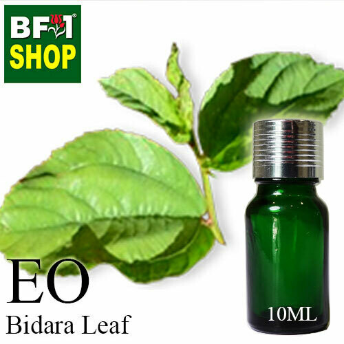 Essential Oil - Bidara Leaf (Zizyphus Mauritiana ) - 10ml Essential Oil - Bidara Leaf (Zizyphus Mauritiana ) - 10ml