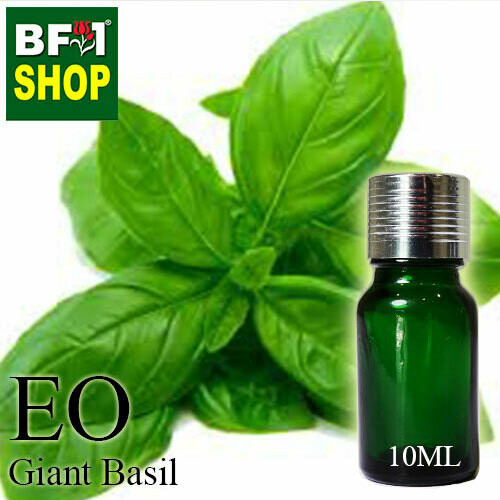 Essential Oil - Basil - Sweet Basil ( Giant Basil ) - 10ml Essential Oil - Basil - Sweet Basil ( Giant Basil ) - 10ml