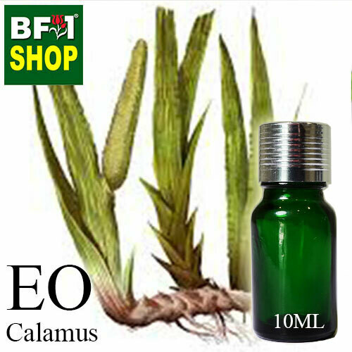 Essential Oil - Calamus - 10ml Essential Oil - Calamus - 10ml