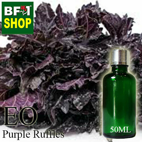 Essential Oil - Basil - Purple Ruffles Basil - 50ml Essential Oil - Basil - Purple Ruffles Basil - 50ml
