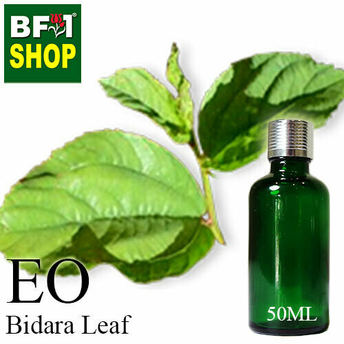 Essential Oil - Bidara Leaf (Zizyphus Mauritiana ) 50ml Essential Oil - Bidara Leaf (Zizyphus Mauritiana ) 50ml