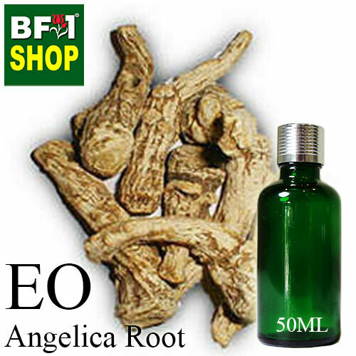 Essential Oil - Angelica Root - 50ml Essential Oil - Angelica Root - 50ml